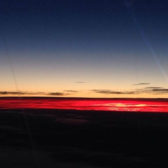 Meet your Posher, Barbra - Picture 1 of 1